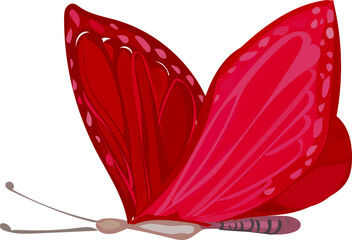 Butterfly illustration on transparent background.