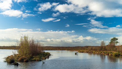 landscape with lake