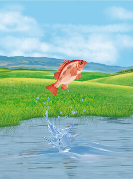 un poisson s&eacute;baste  qui saut et sort de l'eau avec splash