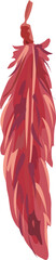 Fototapeta premium Feather illustration on transparent background. 