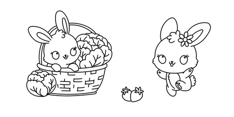 Kawaii line art coloring page for kids. Kindergarten or preschool coloring activity. Cute jumping playful bunny, and cute bunny sitting in a basket with cabbage. Kawaii rabbits vector illustration - 773929351