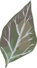 Leaf illustration on transparent background.
