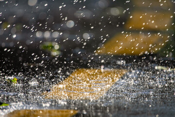 Reflective Moments: Raindrops Adorn the Asphalt Pathways - 773934711