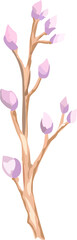 Tree illustration on transparent background.
