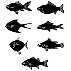 Collection of Fish set, Cute underwater animals,  fish vector, cute fish vector collection, Vector illustration tropical fish on white background