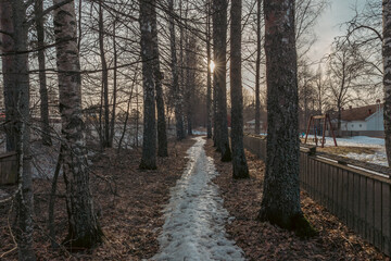 Landscape. Spring forest. A forest path. Most of the snow has already melted