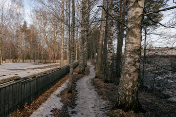 Landscape. Spring forest. A forest path. Most of the snow has already melted