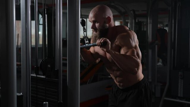 Bald Caucasian Bodybuilder doing heavy triceps exercises with cable. 