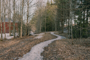 Landscape. Spring forest. A forest path. Most of the snow has already melted