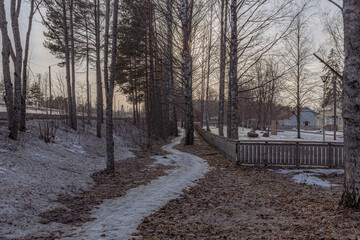 Landscape. Spring forest. A forest path. Most of the snow has already melted