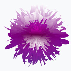 Tropic flowers vector. Hawaiian hibiscus and exotic aloha plants isolated illustration