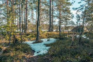 the snow melts in the ski trail