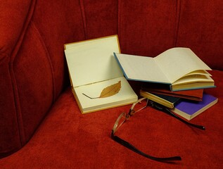 Eyeglasses and open books are in a red velour armchair