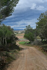 Fototapeta na wymiar Castilian landscape with road