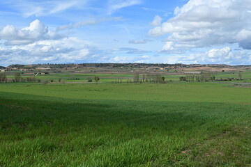 Spectacular green field