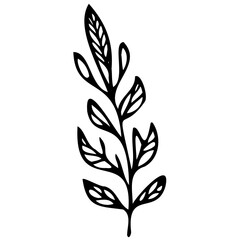 Hand drawn leaves line linear black Strock Symbol visual illustration Plant nature hand drawn set. Collection botanical element Elegante vintage style