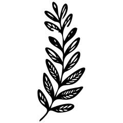 Fototapeta premium Hand drawn winter leaves and branches. Floral twig, botanical branch with berry and leaf doodle. Plant leaf feather and fir tree branches element. Isolated vector icons
