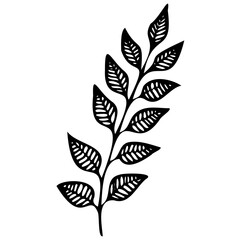 Hand drawn winter leaves and branches. Floral twig, botanical branch with berry and leaf doodle. Plant leaf feather and fir tree branches element. Isolated vector icons