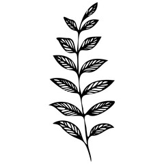 Hand drawn winter leaves and branches. Floral twig, botanical branch with berry and leaf doodle. Plant leaf feather and fir tree branches element. Isolated vector icons