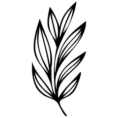 Hand drawn winter leaves and branches. Floral twig, botanical branch with berry and leaf doodle. Plant leaf feather and fir tree branches element. Isolated vector icons