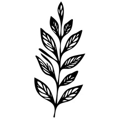 Hand drawn leaves line linear black Strock Symbol visual illustration Leaves doodle Collection of pencil chalk hand drawn templates sketches patterns of different shape tree foliage 