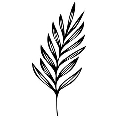 Hand drawn leaves line linear black Strock Symbol visual illustration Leaves doodle Collection of pencil chalk hand drawn templates sketches patterns of different shape tree foliage 