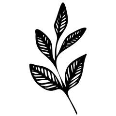Hand drawn leaves line linear black Strock Symbol visual illustration, handmade leaves - herbs and leaf branches with leaves and flowers vector icon