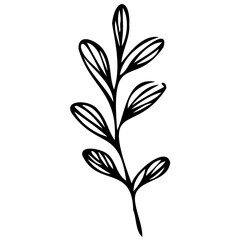 Hand drawn leaves line linear black Strock Symbol visual illustration, handmade leaves - herbs and leaf branches with leaves and flowers vector icon