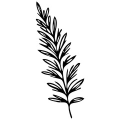 Fototapeta premium Hand drawn leaves line linear black Strock Symbol visual illustration, handmade leaves - herbs and leaf branches with leaves and flowers vector icon