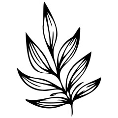 Hand drawn leaves line linear black Strock Symbol visual illustration, handmade leaves - herbs and leaf branches with leaves and flowers vector icon