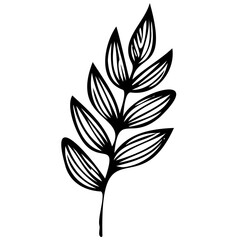 Hand drawn leaves line linear black Strock Symbol visual illustration, handmade leaves - herbs and leaf branches with leaves and flowers vector icon
