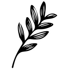 Obraz premium Hand drawn leaves line linear black Strock Symbol visual illustration, handmade leaves - herbs and leaf branches with leaves and flowers vector icon