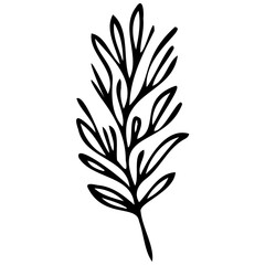 Hand drawn leaves line linear black Strock Symbol visual illustration Plant nature hand drawn set. Collection botanical element. Elegante vintage style