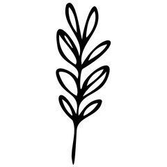 Hand drawn leaves line linear black Strock Symbol visual illustration Plant nature hand drawn set. Collection botanical element. Elegante vintage style