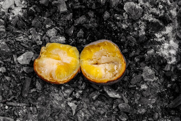 baked potato in the embers of a campfire, close-up