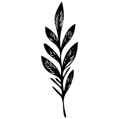 Hand drawn leaves line linear black strock Symbol visual illustration branch and leaves collection. Floral hand drawn vintage set. Sketch line art illustration. Element design