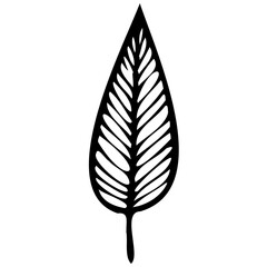 Hand drawn leaves line linear black strock Symbol visual illustration branch and leaves collection. Floral hand drawn vintage set. Sketch line art illustration. Element design