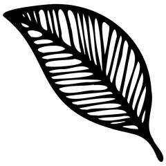 Hand drawn leaves line linear black strock Symbol visual illustration