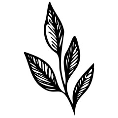 Hand drawn leaves line linear black strock Symbol visual illustration