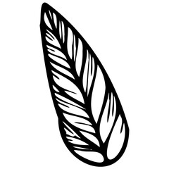 Obraz premium Hand drawn leaves line linear black strock Symbol visual illustration