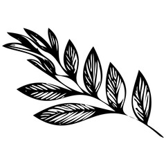 Hand drawn leaves line linear black strock Symbol visual illustration