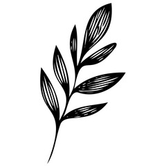 Hand drawn leaves line linear black strock Symbol visual illustration
