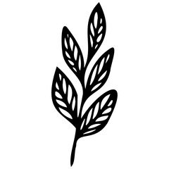 Obraz premium Hand drawn leaves line linear black strock Symbol visual illustration