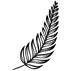 Fototapeta premium Hand drawn leaves line linear black strock Symbol visual illustration