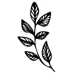 Hand drawn leaves line linear black strock Symbol visual illustration