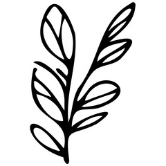 Hand drawn leaves line linear black strock Symbol visual illustration