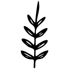 Hand drawn leaves line linear black strock Symbol visual illustration