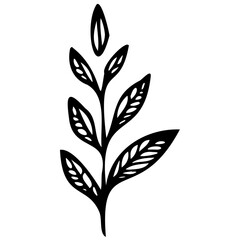 Hand drawn leaves line linear black strock Symbol visual illustration