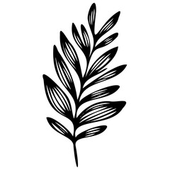 Hand drawn leaves line linear black strock Symbol visual illustration