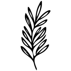 Hand drawn leaves line linear black strock Symbol visual illustration